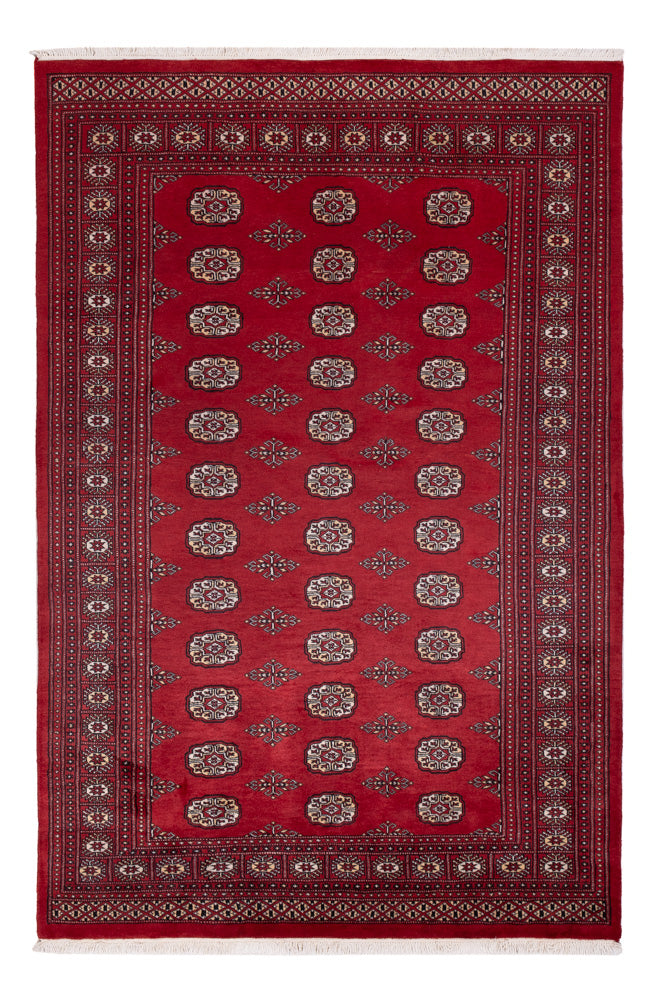パキスタン絨毯 249x167cm - オリエンタル絨毯