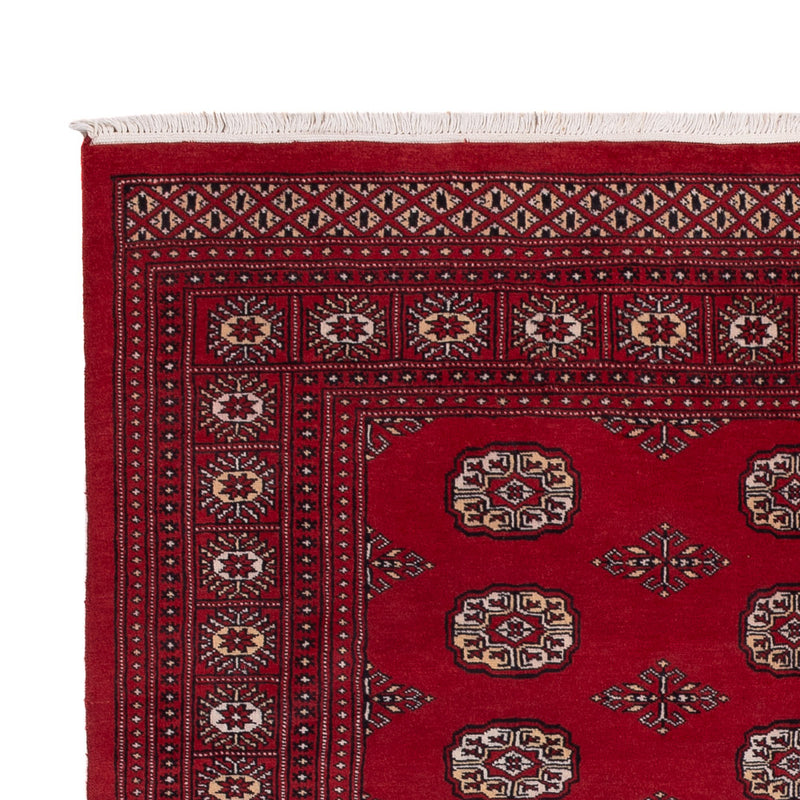 パキスタン絨毯 249x167cm - オリエンタル絨毯