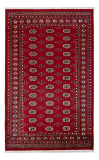パキスタン絨毯 266x167cm - オリエンタル絨毯 – product image