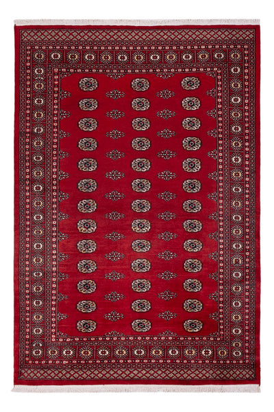 パキスタン絨毯 164x239cm - オリエンタル絨毯