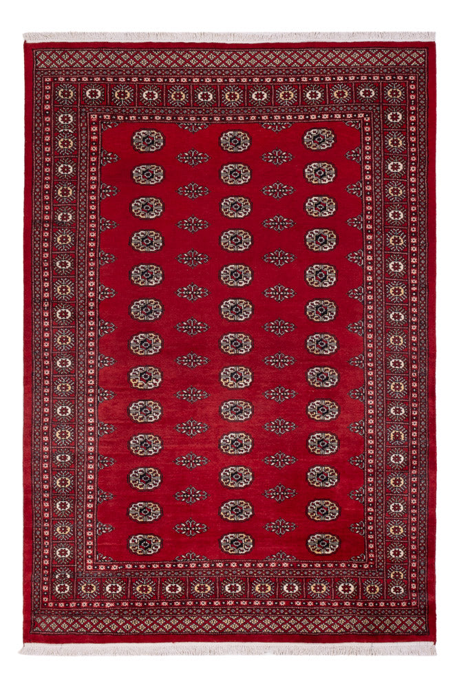パキスタン絨毯 239x164cm - オリエンタル絨毯
