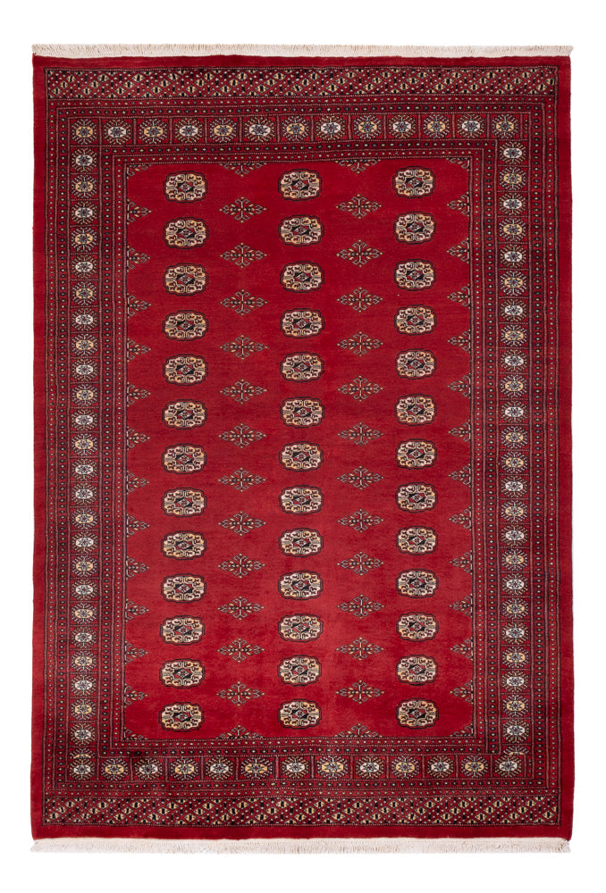 パキスタン絨毯 235x165cm - オリエンタル絨毯