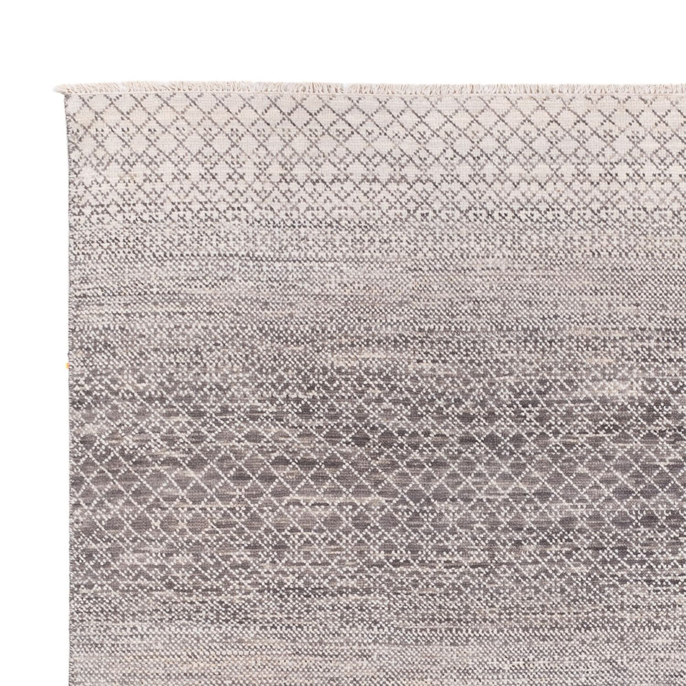 デザイナー絨毯 300x250cm - デザイナーラグ