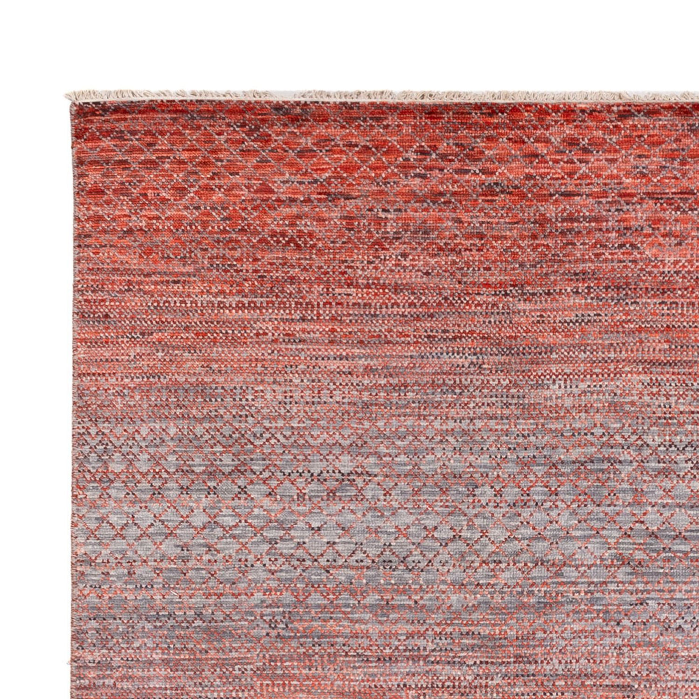 デザイナー絨毯 305x244cm - デザイナーラグ