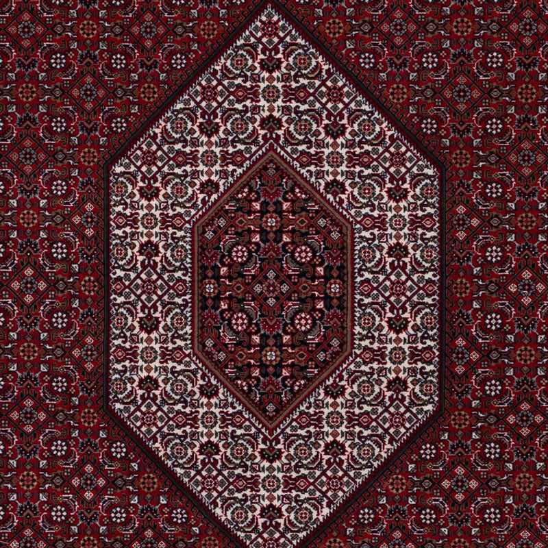 インド ビジャー 絨毯 298x200cm - オリエンタル絨毯