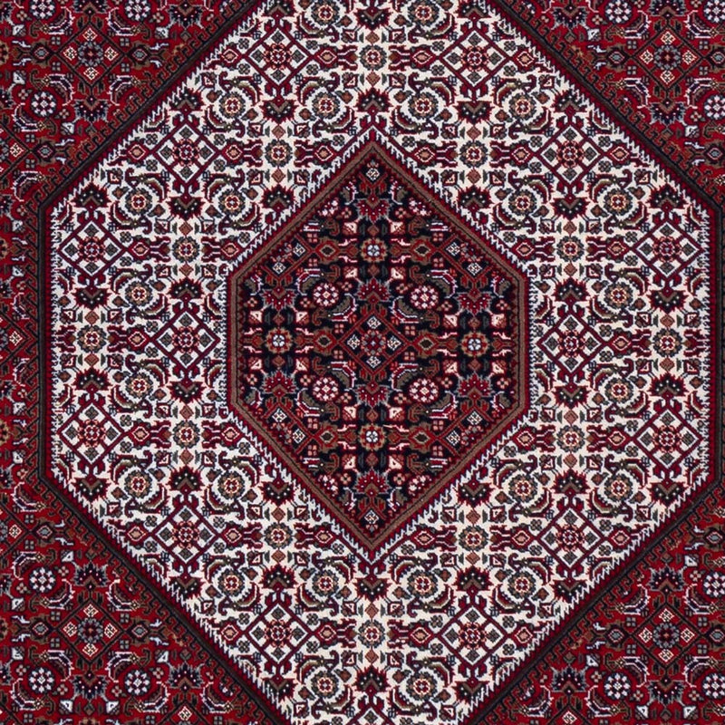 インド ビジャー 絨毯 305x251cm - オリエンタル絨毯