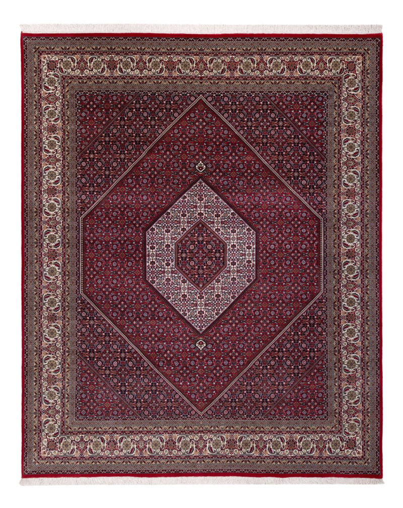 インド ビジャー 絨毯 300x247cm - オリエンタル絨毯