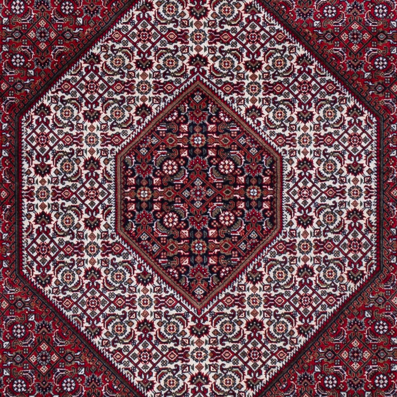 インド ビジャー 絨毯 300x247cm - オリエンタル絨毯