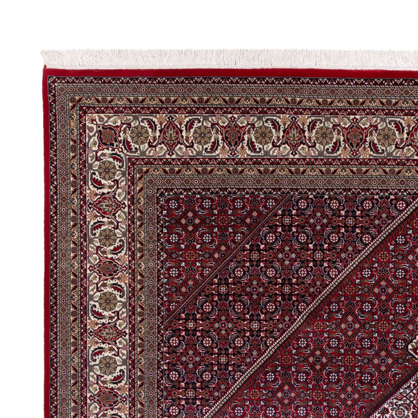 インド ビジャー 絨毯 300x247cm - オリエンタル絨毯