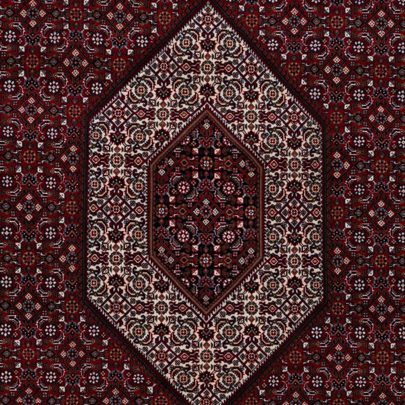 インド ビジャー 絨毯 305x198cm - オリエンタル絨毯