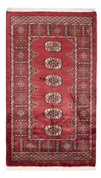 パキスタン絨毯 146x89cm - オリエンタル絨毯 – product image