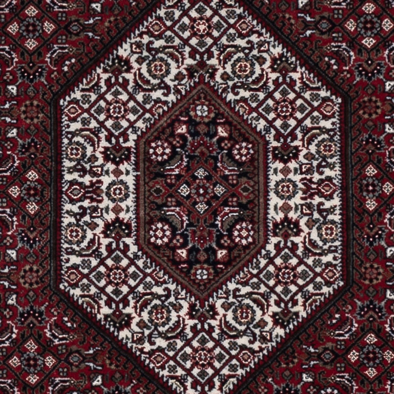 インド ビジャー 絨毯 182x123cm - オリエンタル絨毯