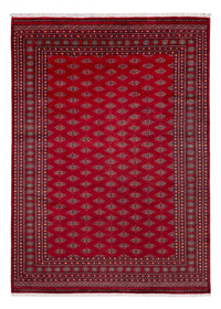 ブハラ 絨毯 350x253cm - オリエンタル絨毯 – product image