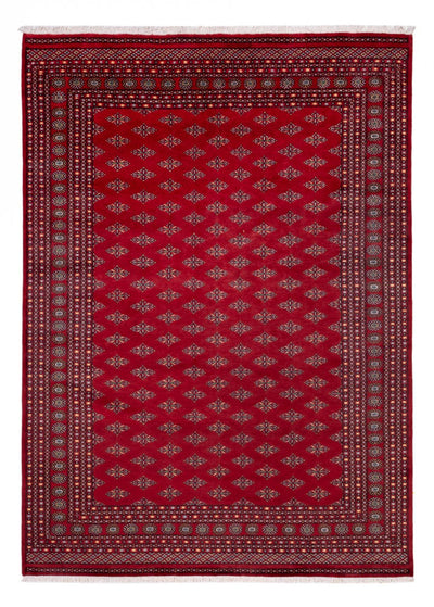 ブハラ 絨毯 253x350cm - オリエンタル絨毯