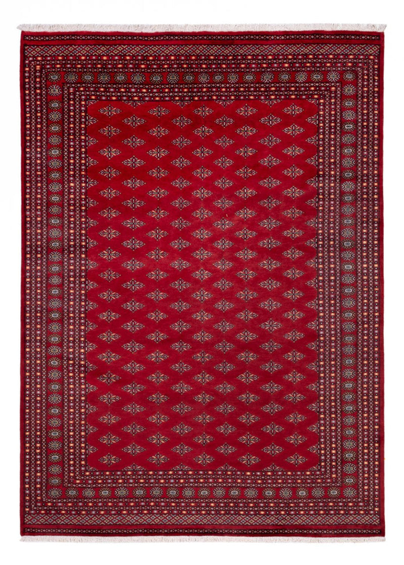 ブハラ 絨毯 350x253cm - オリエンタル絨毯