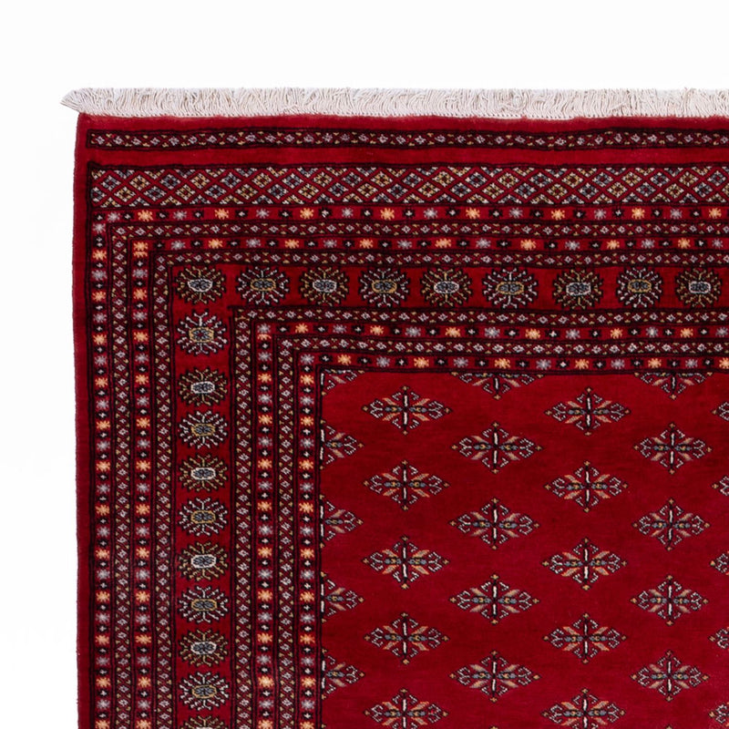 ブハラ 絨毯 350x253cm - オリエンタル絨毯