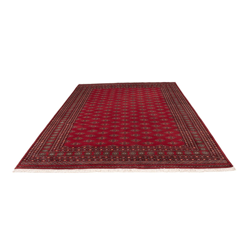 ブハラ 絨毯 350x253cm - オリエンタル絨毯