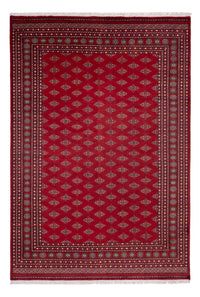 ブハラ 絨毯 365x249cm - オリエンタル絨毯 – product image