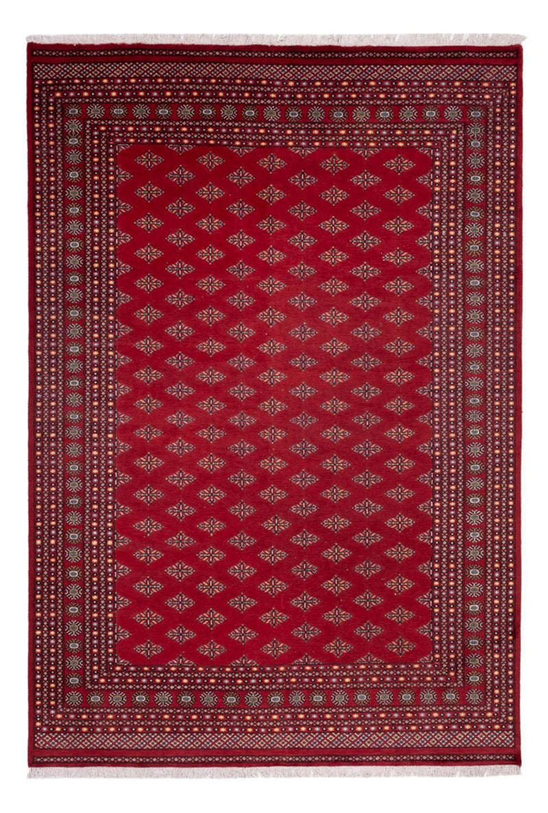 ブハラ 絨毯 365x249cm - オリエンタル絨毯