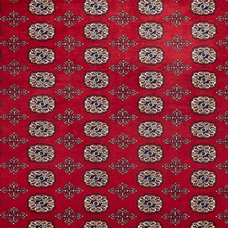 ブハラ 絨毯 363x280cm - オリエンタル絨毯