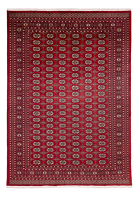 ブハラ 絨毯 346x241cm - オリエンタル絨毯 – product image