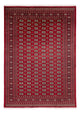 ブハラ 絨毯 346x241cm - オリエンタル絨毯
