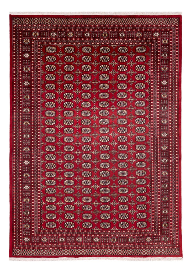 ブハラ 絨毯 346x241cm - オリエンタル絨毯