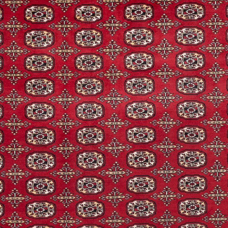 ブハラ 絨毯 346x241cm - オリエンタル絨毯