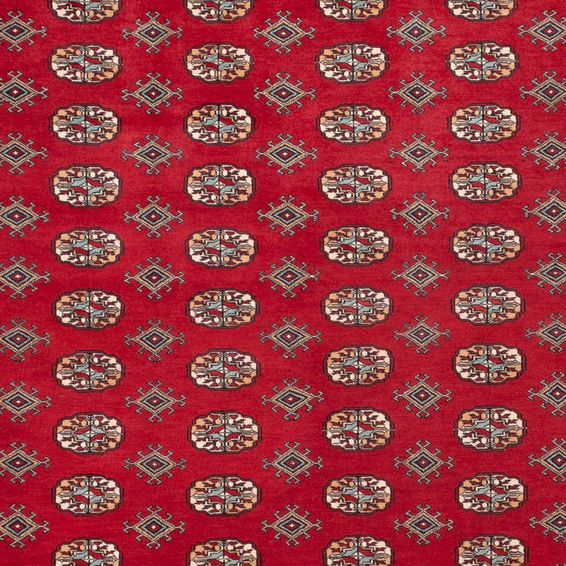 ブハラ 絨毯 354x275cm - オリエンタル絨毯