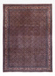 ビジャー - タカブ 絨毯 349x252cm - ペルシャ絨毯