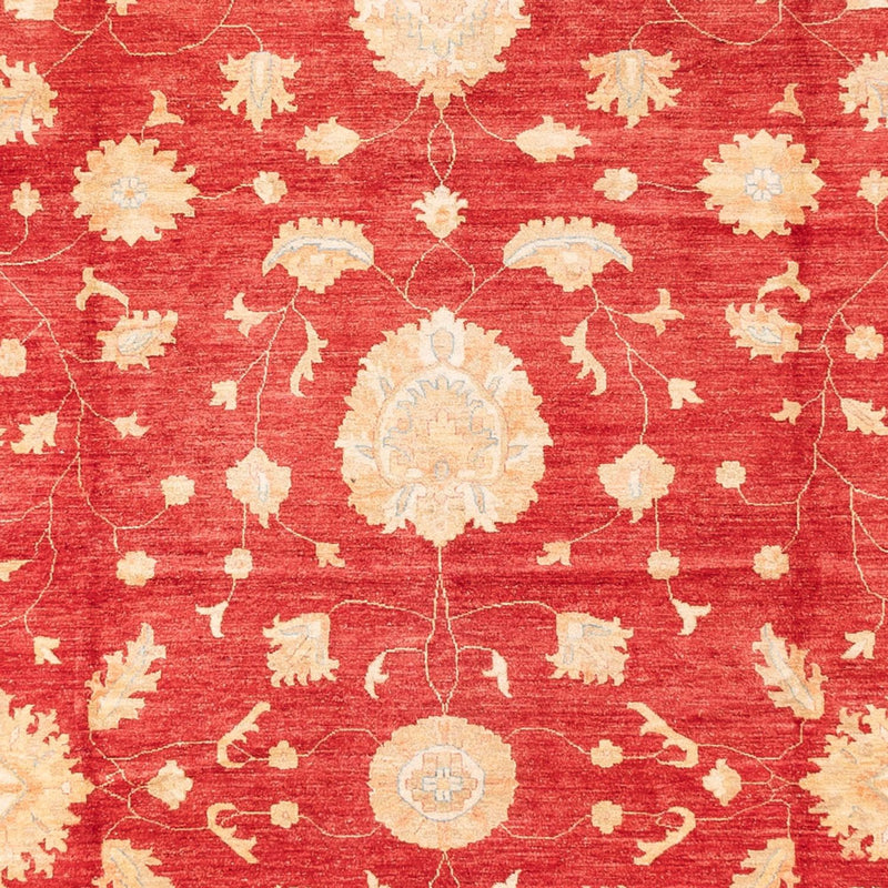 ツィーグラー絨毯 686x402cm - オリエンタル絨毯