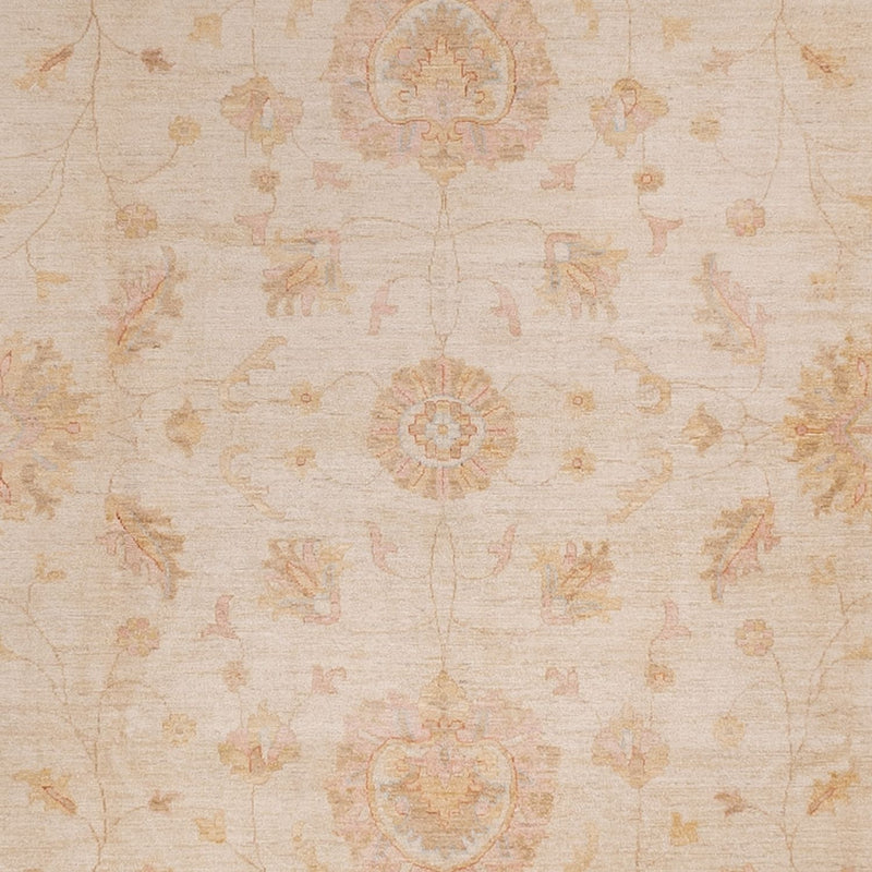 ツィーグラー絨毯 490x357cm - オリエンタル絨毯