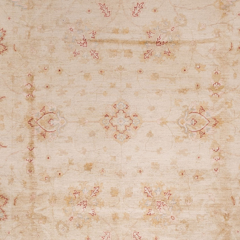 ツィーグラー絨毯 487x353cm - オリエンタル絨毯