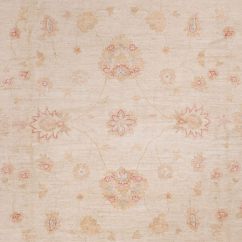 ツィーグラー絨毯 538x350cm - オリエンタル絨毯