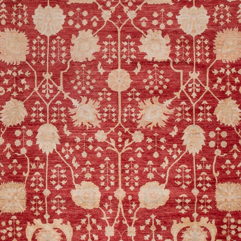 ツィーグラー絨毯 495x400cm - オリエンタル絨毯