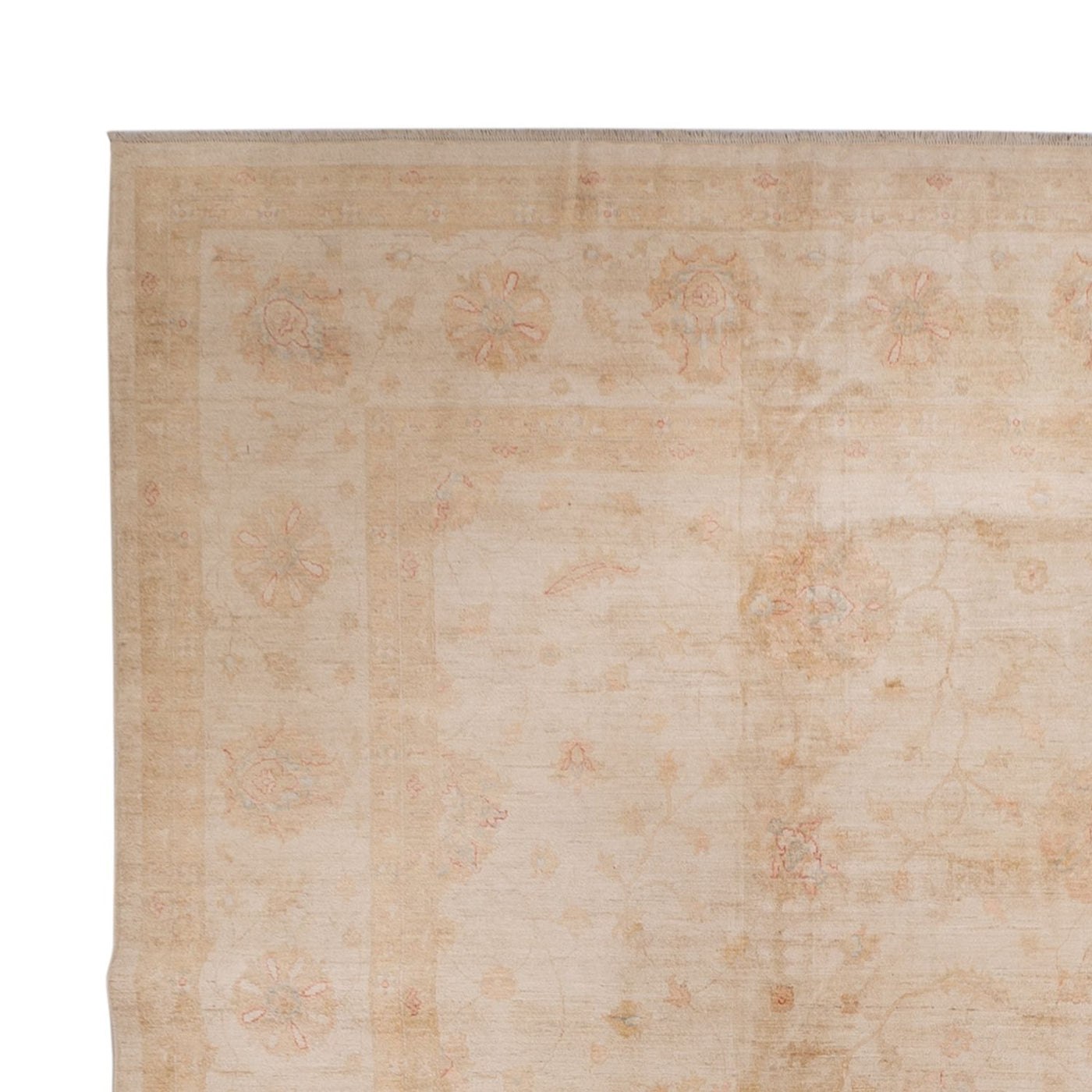 ツィーグラー絨毯 503x393cm - オリエンタル絨毯