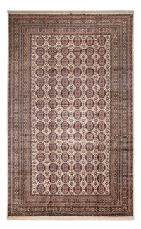 アフガン絨毯 492x303cm - オリエンタル絨毯 – product image