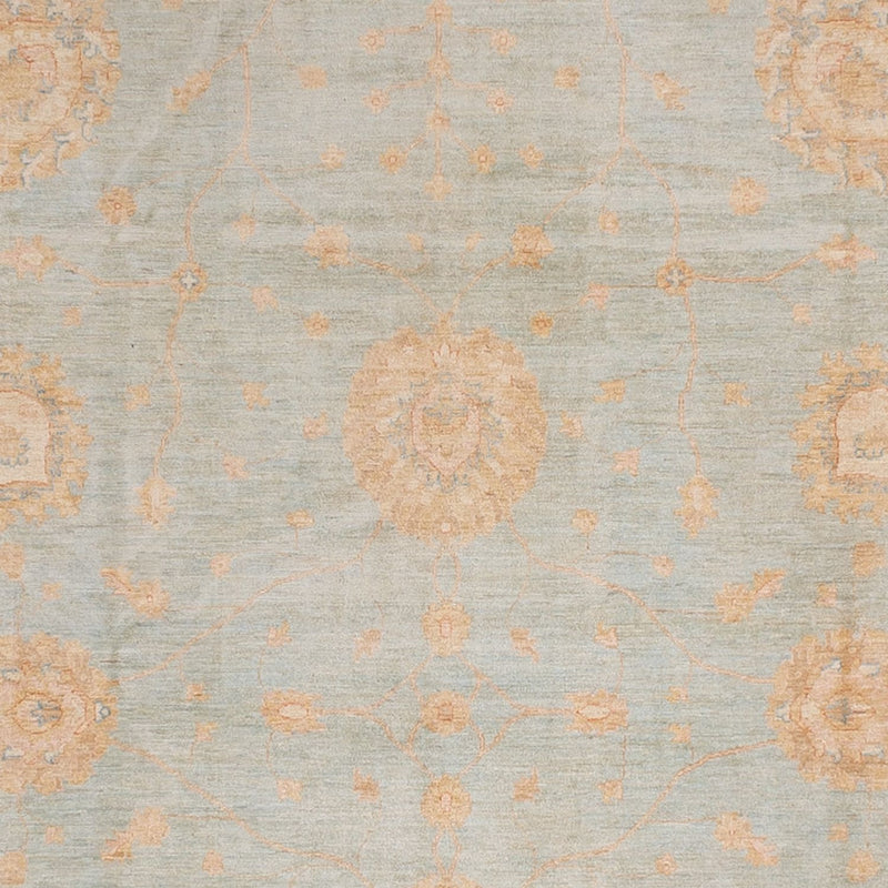 ツィーグラー絨毯 543x354cm - オリエンタル絨毯