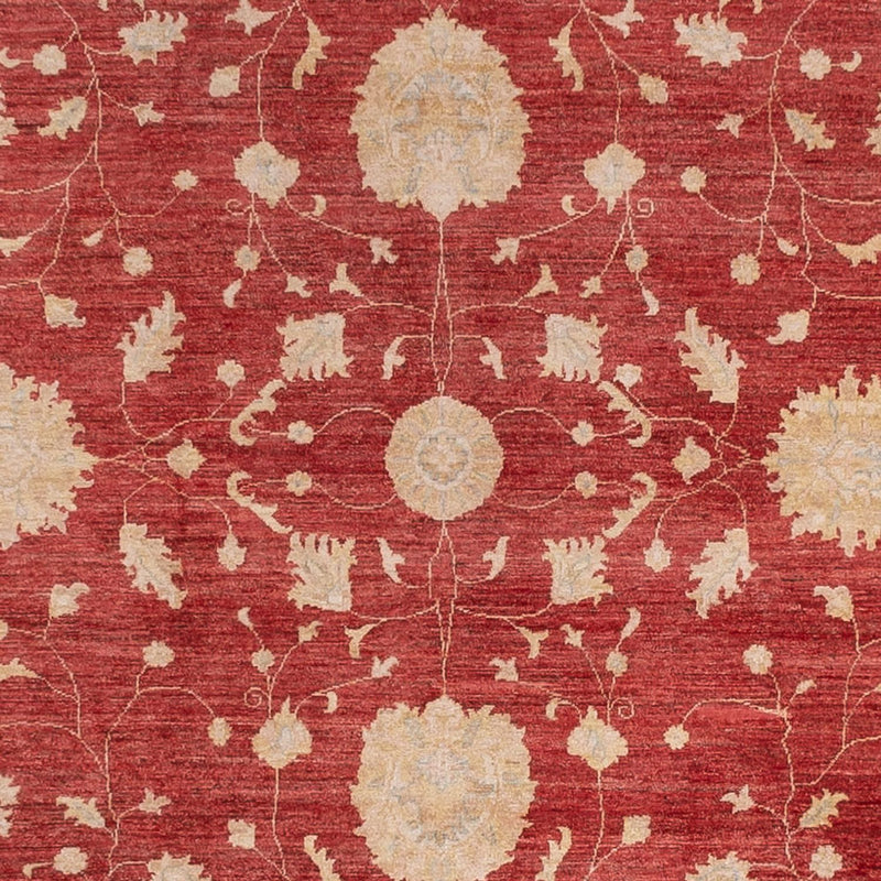 ツィーグラー絨毯 444x310cm - オリエンタル絨毯
