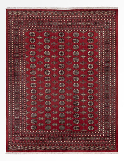 パキスタン絨毯 248x318cm - オリエンタル絨毯