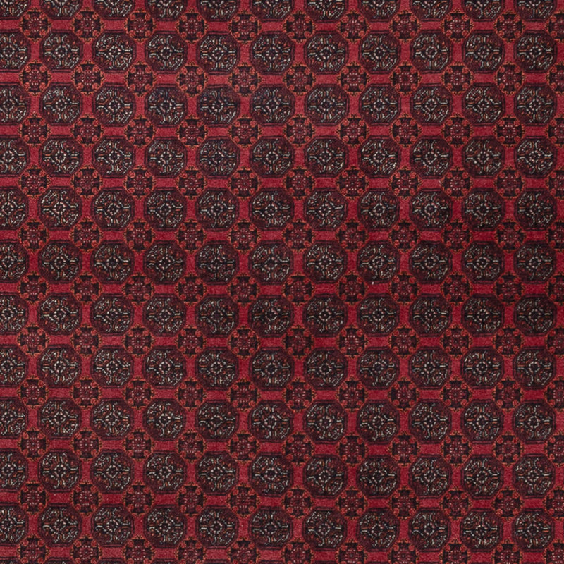 アフガン絨毯 297x198cm - オリエンタル絨毯