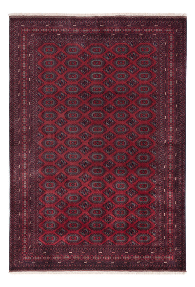 アフガン絨毯 200x296cm - オリエンタル絨毯