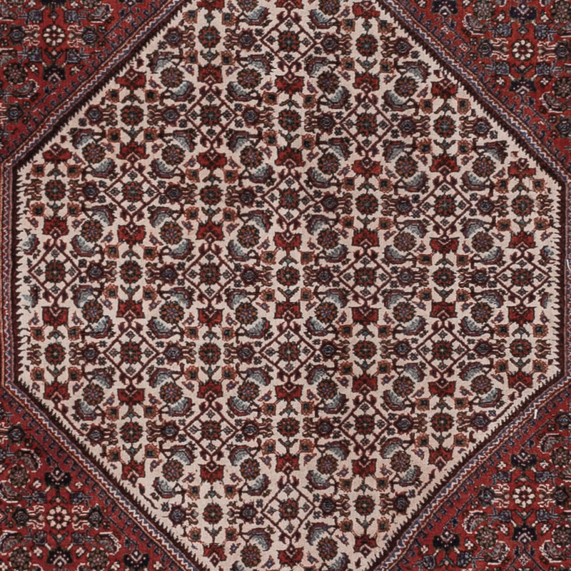 ビジャー 絨毯 290x198cm - ペルシャ絨毯