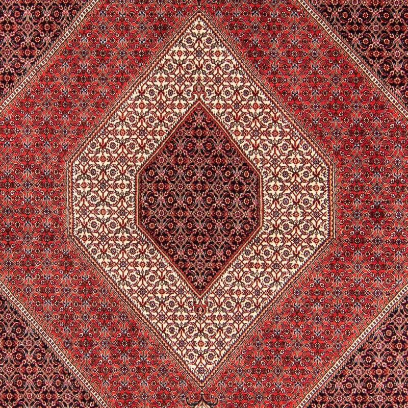 ビジャー - タカブ 絨毯 240x175cm - ペルシャ絨毯