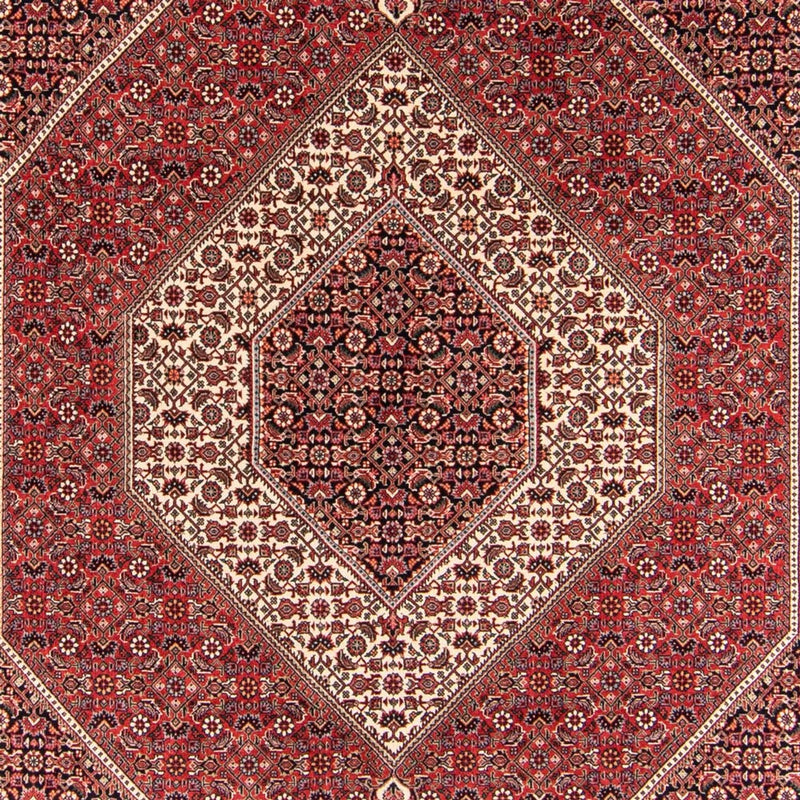 ビジャー - タカブ 絨毯 252x174cm - ペルシャ絨毯