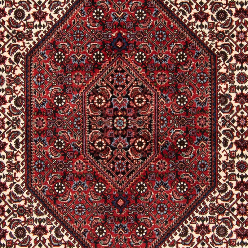 ビジャー - タカブ 絨毯 183x114cm - ペルシャ絨毯