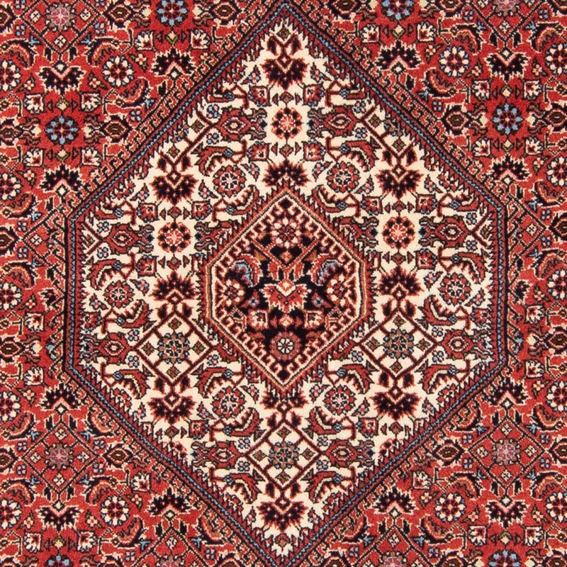 ビジャー - タカブ 絨毯 181x112cm - ペルシャ絨毯
