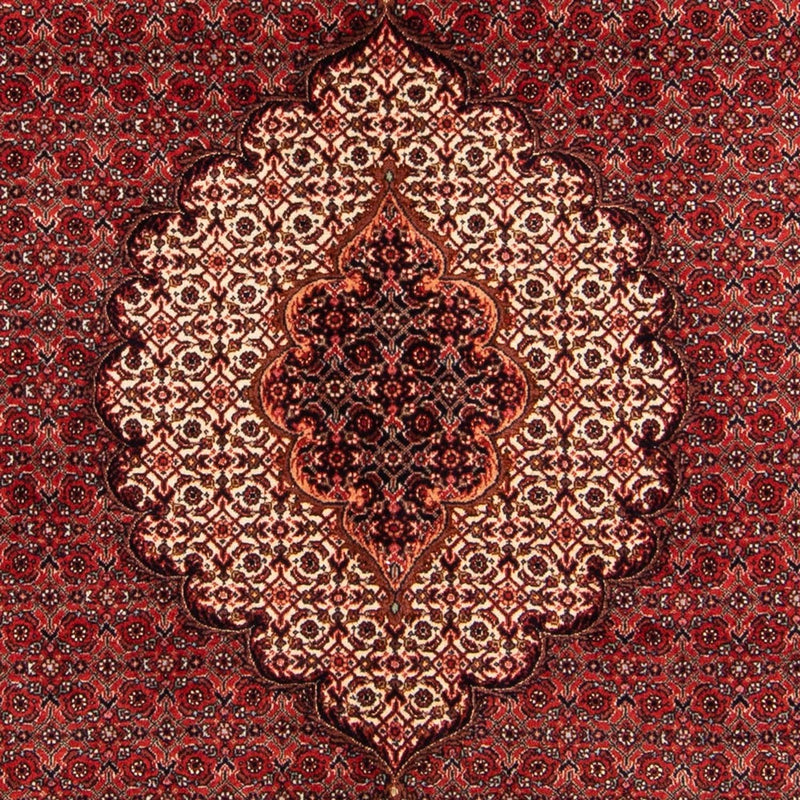 ビジャー - タカブ 絨毯 209x153cm - ペルシャ絨毯