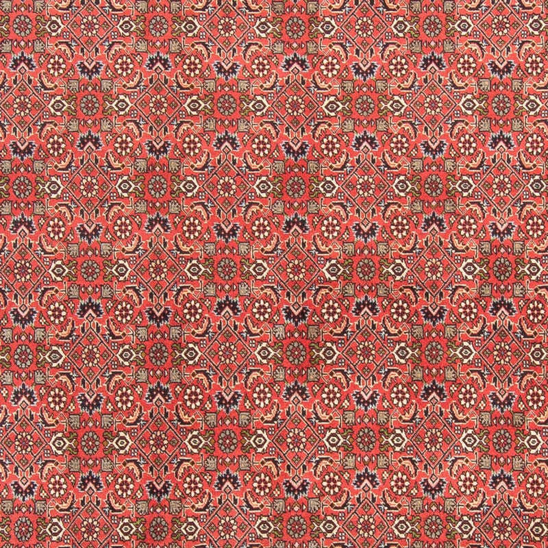 ビジャー - タカブ 絨毯 300x198cm - ペルシャ絨毯