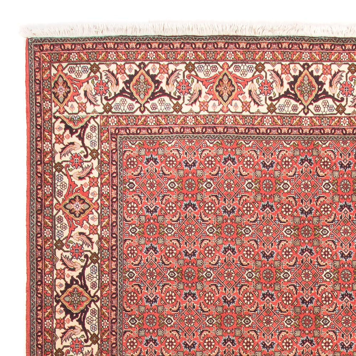 ビジャー - タカブ 絨毯 300x198cm - ペルシャ絨毯